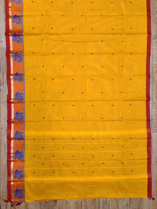Kanchi Cotton