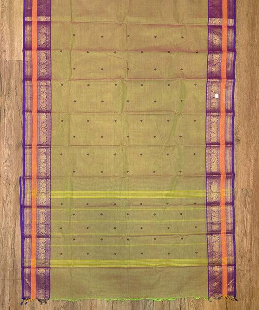 Kanchi Cotton