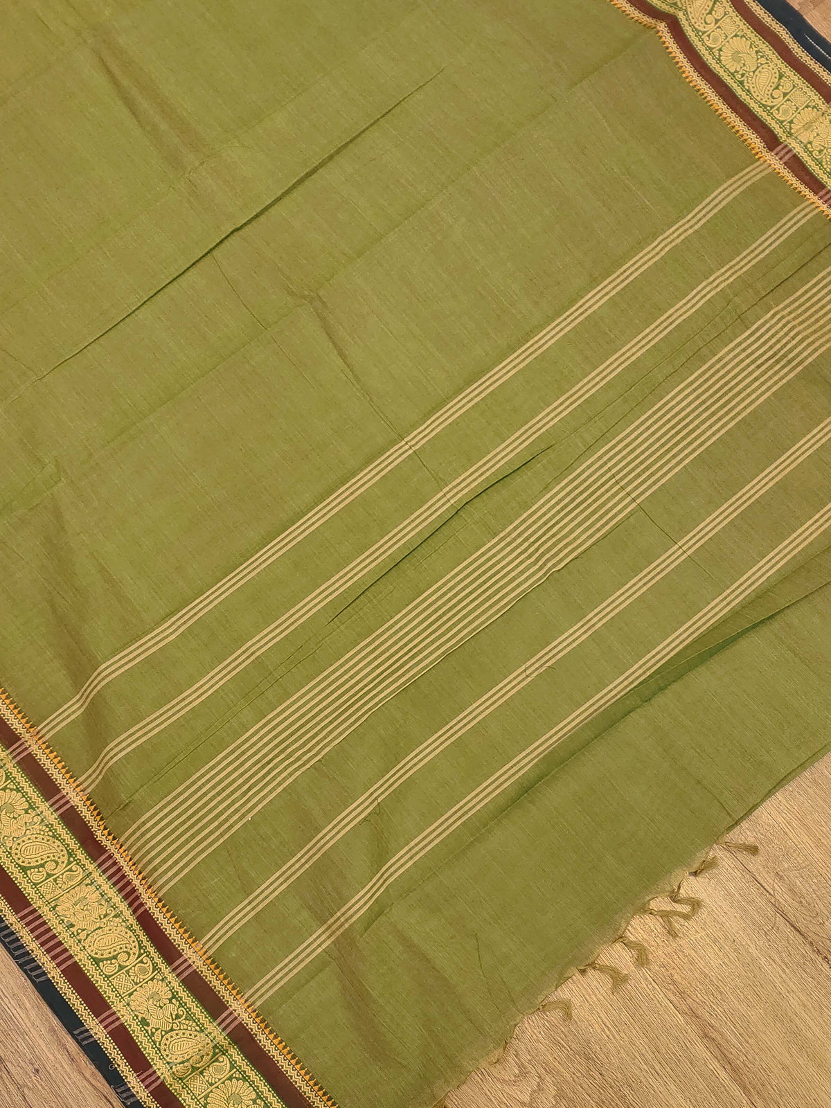 Kanchi Cotton