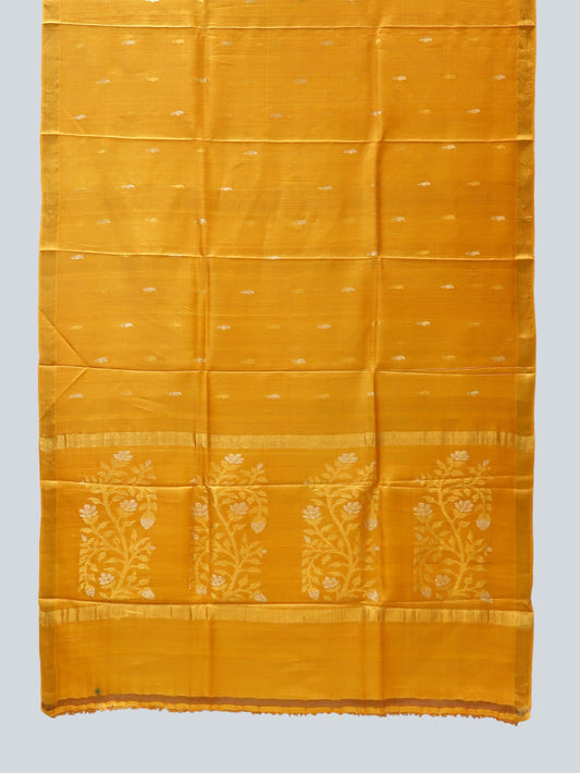 Pure Tussar Silk Saree with Dual Zari Pallu