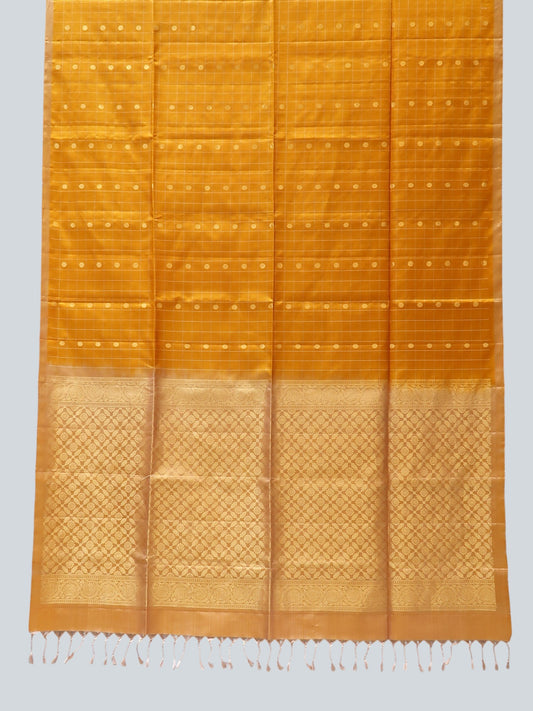 Pure Kovai Silk Borderless Saree with Coin Booties