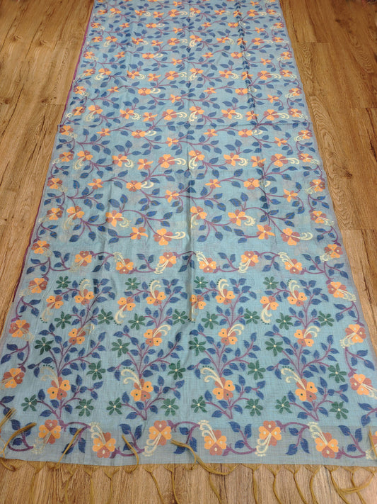 Sky Blue Multicolour Resham Saree