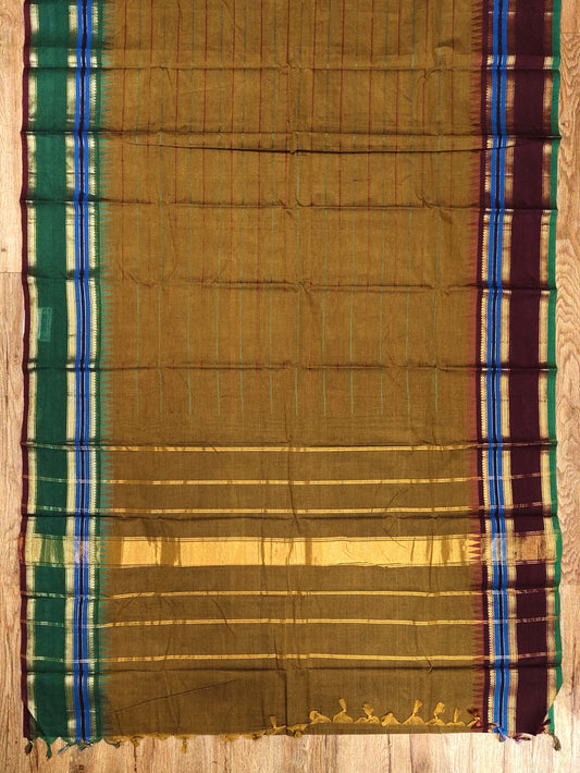Kanchi Cotton