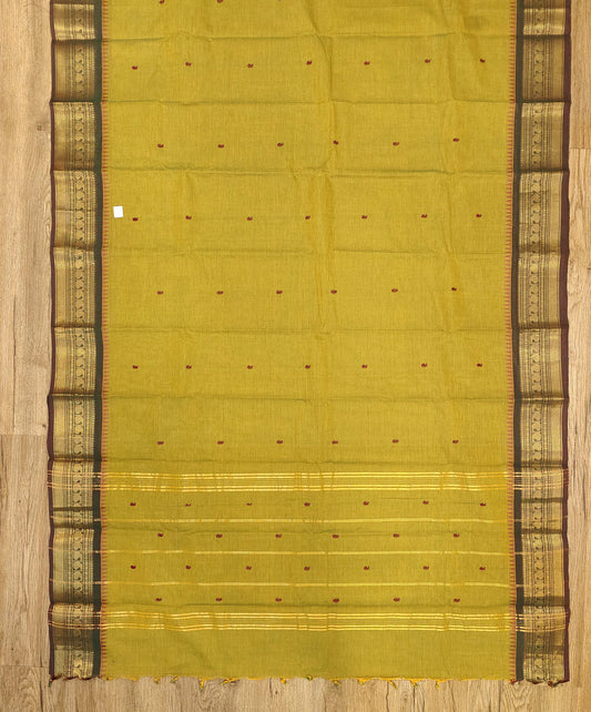 Kanchi Cotton