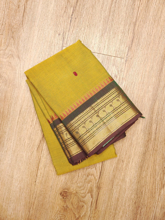 Kanchi Cotton