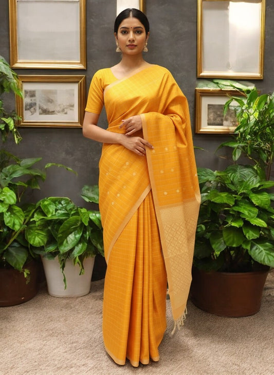 Pure Kovai Silk Borderless Saree with Coin Booties